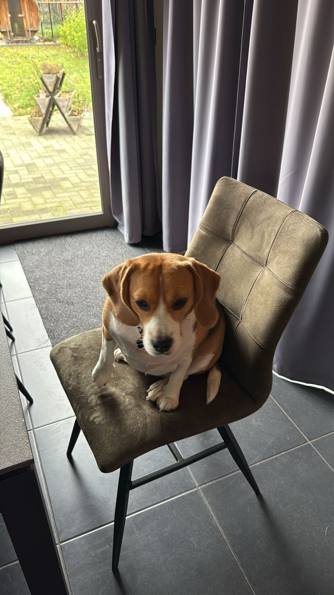 Meet our Chairman!